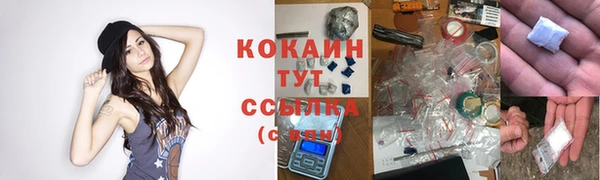 СК Абинск