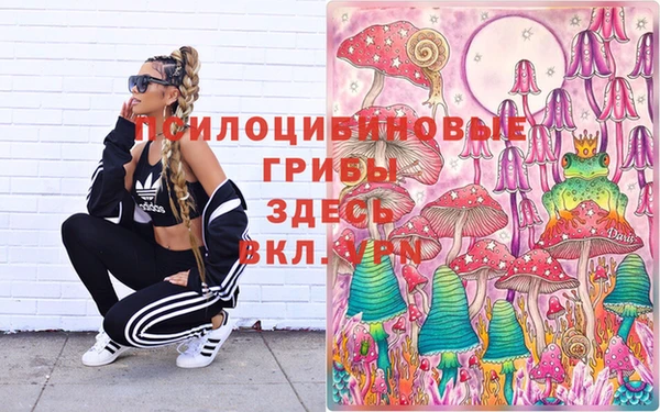 spice Абаза
