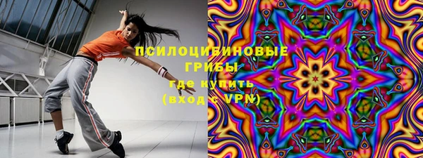 spice Абаза