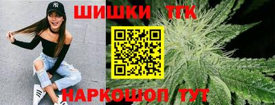 индика Абакан