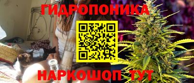 индика Абакан