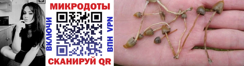 MEGA ссылки  Альметьевск  Псилоцибиновые грибы мицелий 