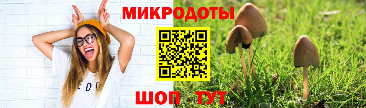 Галлюциногенные грибы мухоморы Альметьевск